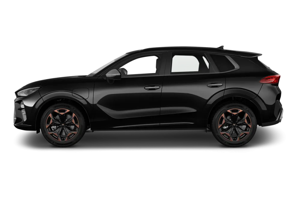 CUPRA TERRAMAR 1.5 eTSI Hybrid 150 ch DSG7 V_3