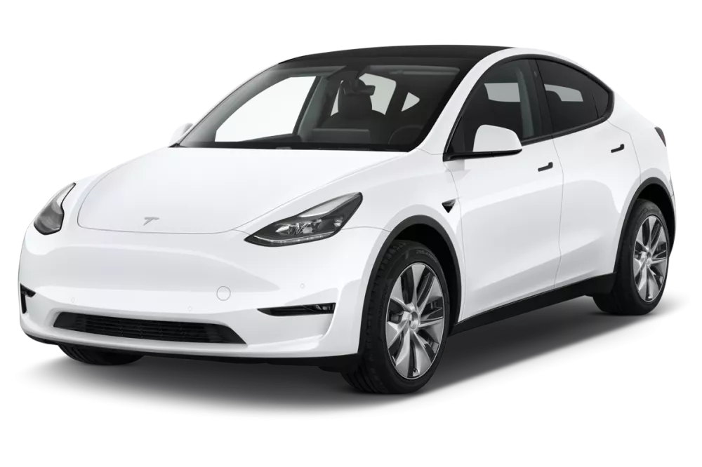 TESLA Model Y Standard RWD _1