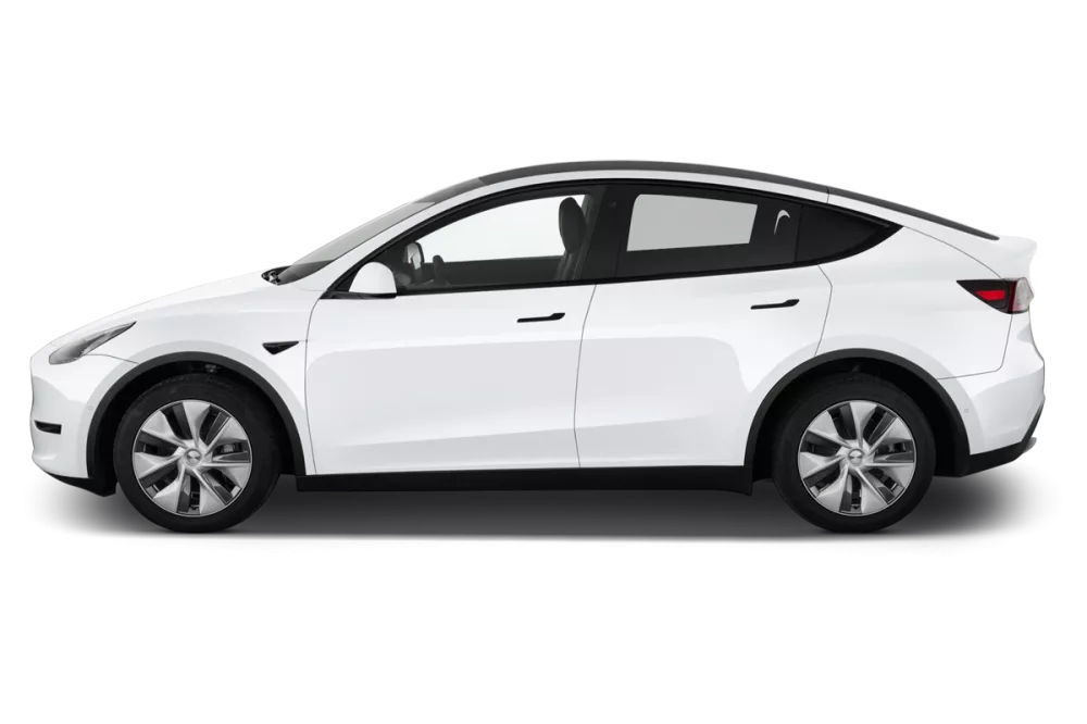 TESLA Model Y Standard RWD _4