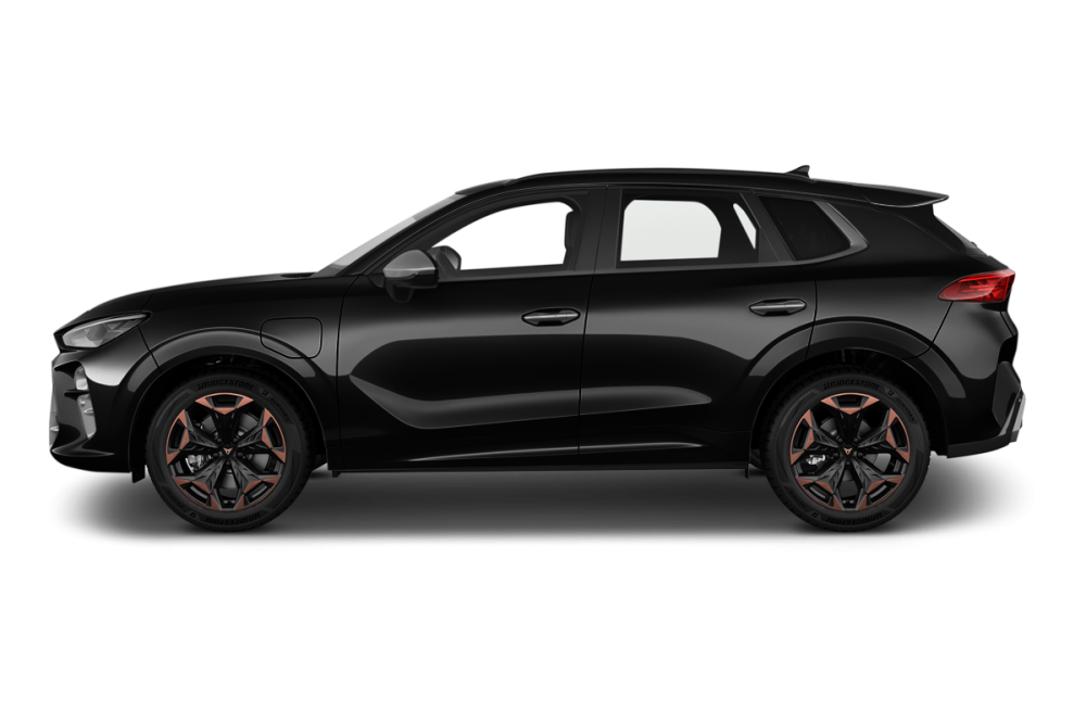 CUPRA TERRAMAR 1.5 eTSI Hybrid 150 ch DSG7 V_4