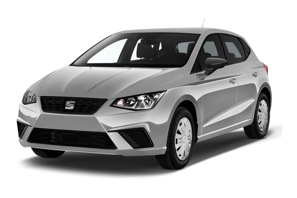 SEAT Ibiza V 1.0 TSI 115 ch S/S DSG7 FR_1