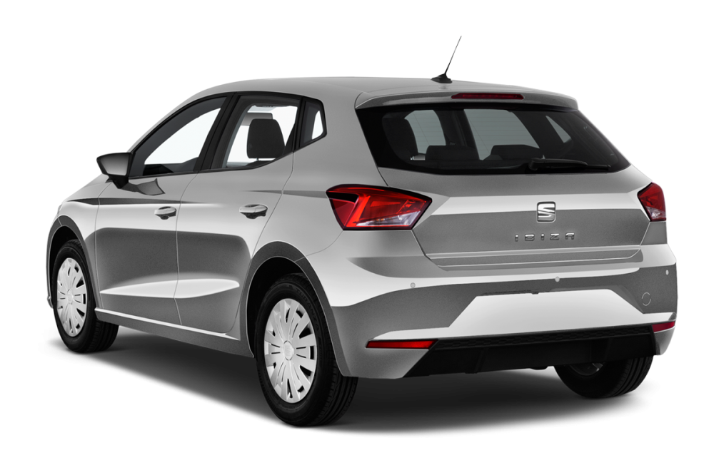 SEAT Ibiza V 1.0 TSI 115 ch S/S DSG7 FR_2