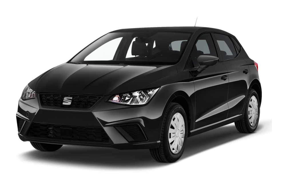 SEAT Ibiza V 1.0 TSI 115 ch S/S DSG7 FR_1