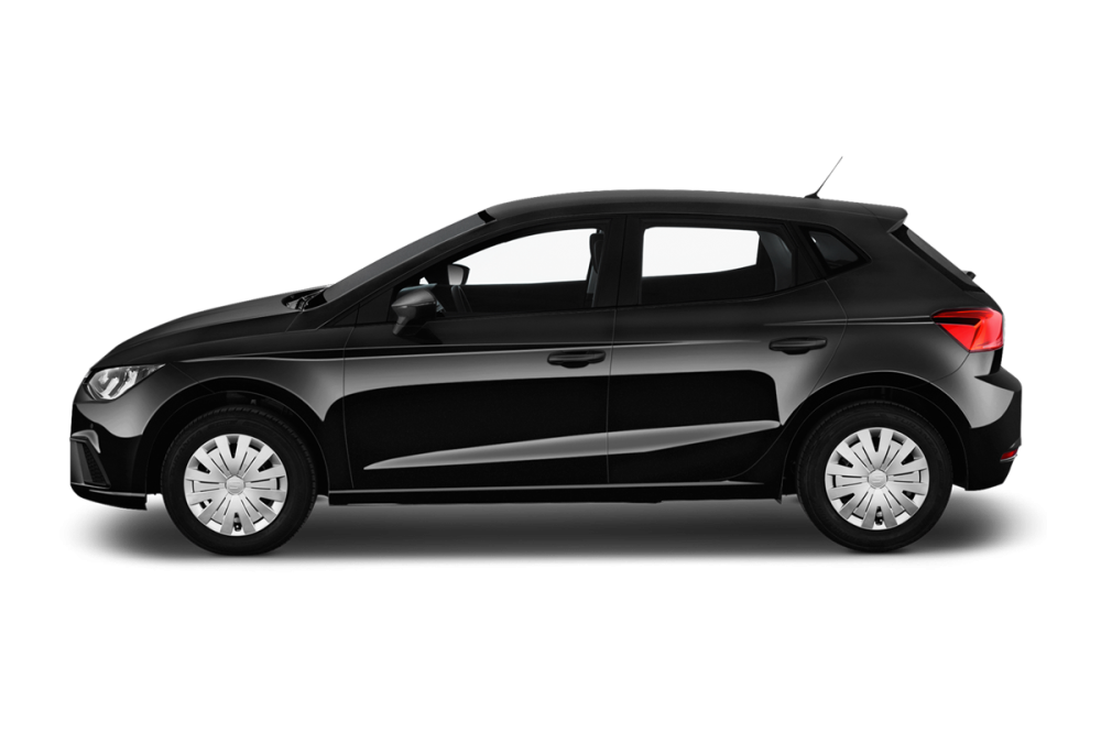 SEAT Ibiza V 1.0 TSI 115 ch S/S DSG7 FR_4
